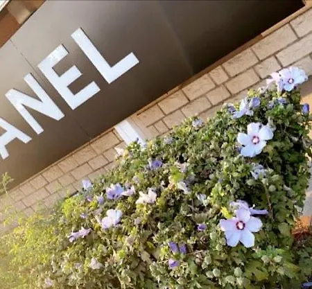 Hotel Restaurant Le Chanel Villieu