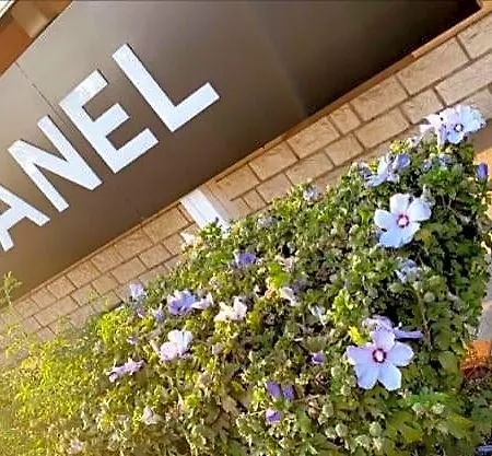 Restaurant Le Chanel Hotel