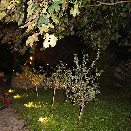 Restaurant Le Chanel מלון 3*